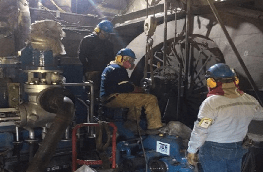 Para de planta Carrusel1