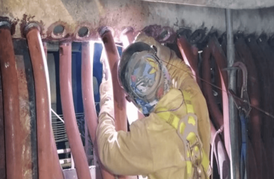 Para de planta Carrusel2